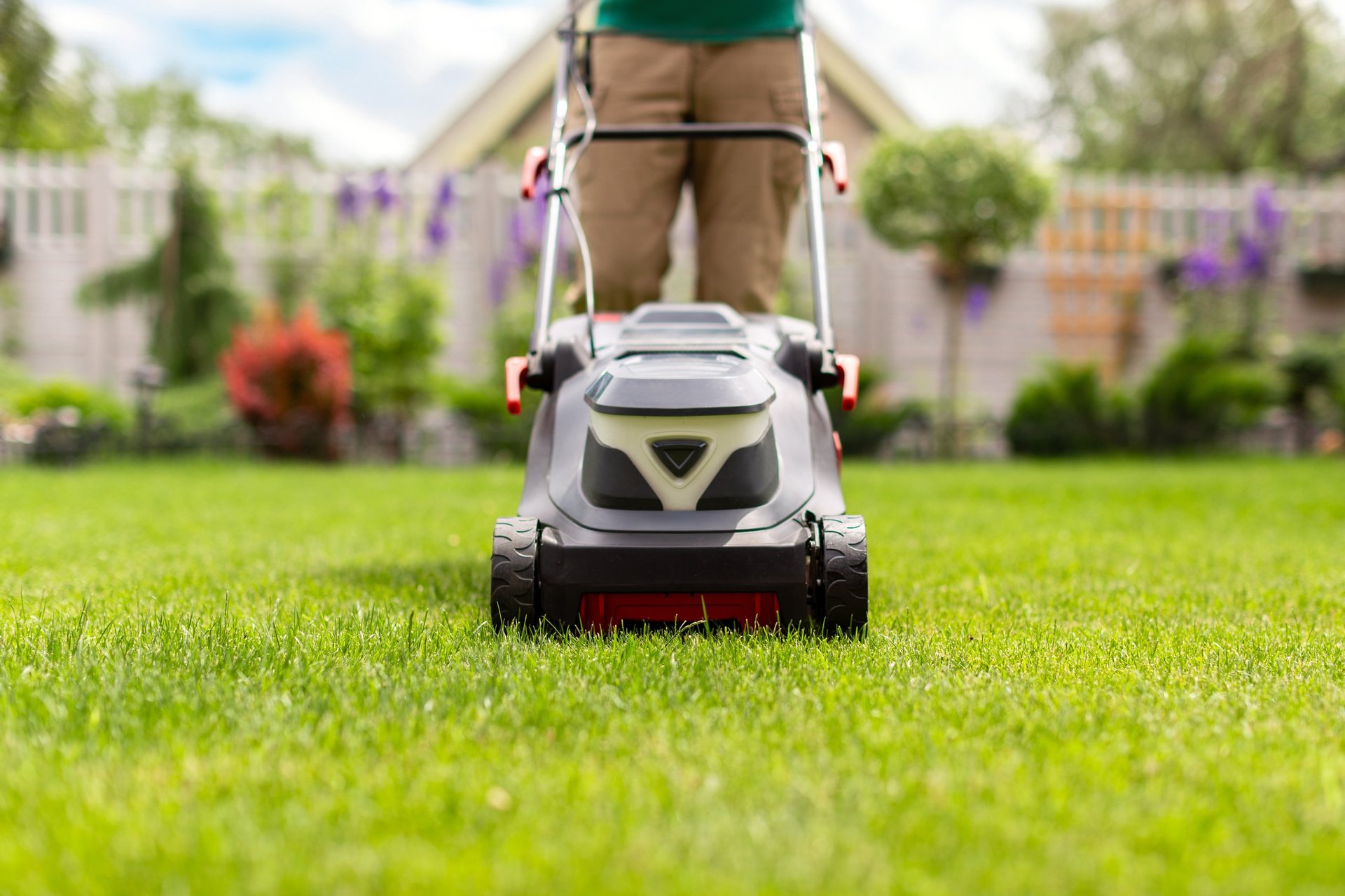 Professional lawn care service