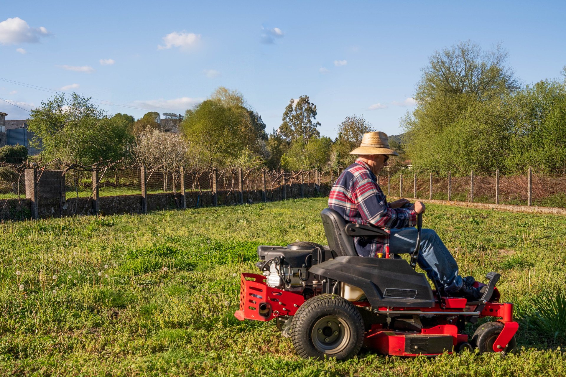 Man mowing spring lawn on red tractor in garden with apple and pear trees.